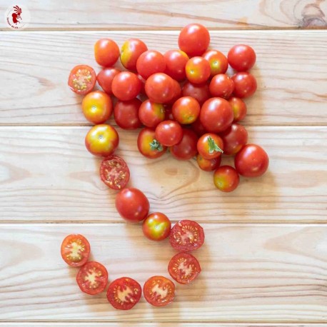 Tomates cerise : bienfaits, préparation, saison