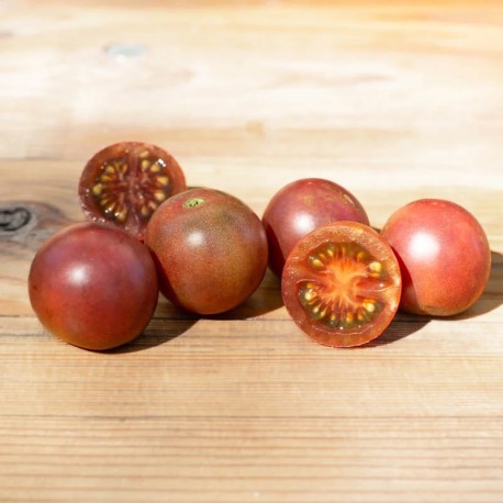 TOMATE CERISE Chocolate Cherry - Graines BIO | KOKOPELLI | Graines et Bio