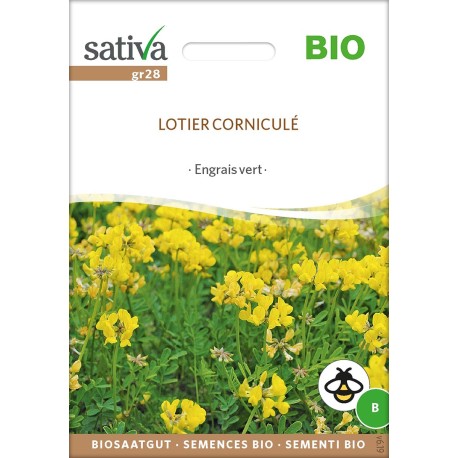 LOTIER Corniculé - ENGRAIS VERT - Graines BIO | Sativa | Graines et Bio