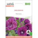 MAUVE Bleue - Graines BIO | Sativa | Graines et Bio