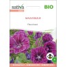 MAUVE Bleue - Graines BIO | Sativa | Graines et Bio
