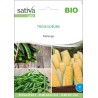 MÉLANGE MALIN Maïs-Haricot-Courgette - Graines BIO | Sativa | Graines et Bio