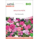 OEILLET DU POÈTE  - Graines BIO | Sativa | Graines et Bio