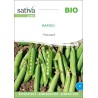 PETIT POIS Grain Rond "Rapido" - Graines BIO | Sativa | Graines et Bio