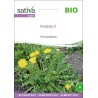 PISSENLIT Sauvage - Graines BIO | Sativa | Graines et Bio