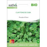 CLAYTONE DE CUBA ou POURPIER d'HIVER - Graines BIO | Sativa | Graines et Bio
