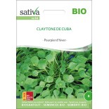POURPIER d'HIVER ou CLAYTONE DE CUBA - Graines BIO | Sativa | Graines et Bio