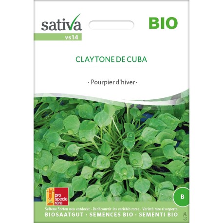 CLAYTONE DE CUBA ou POURPIER d'HIVER - Graines BIO | Sativa | Graines et Bio