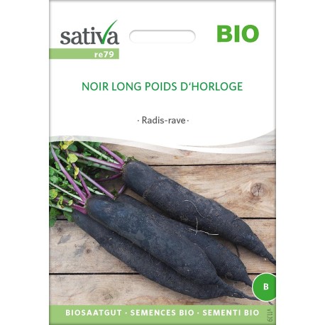 RADIS NOIR Long - Graines BIO | Sativa | Graines et Bio