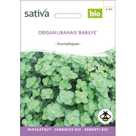 ORIGAN LIBANAIS - Graines BIO | Sativa | Graines et Bio