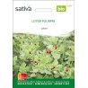 LOTIER POURPRE - Graines BIO | Sativa | Graines et Bio