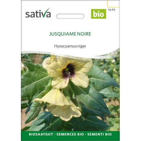 JUSQUIAME NOIRE - Graines BIO | Sativa | Graines et Bio