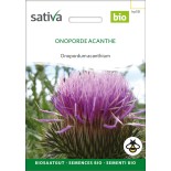 ONOPORDE ACANTHE - Graines BIO | Sativa | Graines et Bio