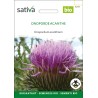 CHARDON AUX ÂNES ou ONOPORDE ACANTHE - Graines BIO | Sativa | Graines et Bio
