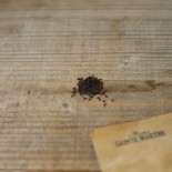 ALLIAIRE Officinale ou HERBE à AIL - Graines BIO | Ferme de Sainte Marthe | Graines et Bio