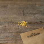 POIVRON PETIT MARSEILLAIS - Graines BIO | Ferme de Sainte Marthe | Graines et Bio