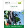 HARICOT À RAMES VIOLET MANGETOUT Blauhilde - Graines BIO | Sativa | Graines et Bio