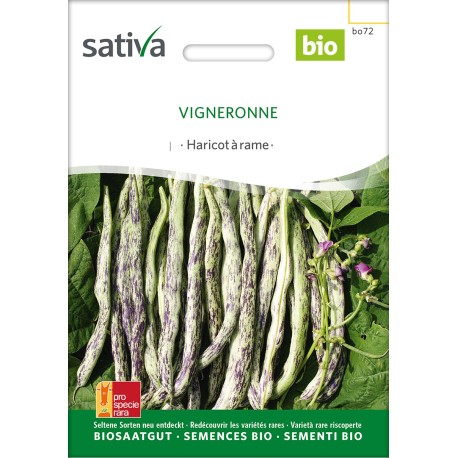 HARICOT À RAMES MANGETOUT Vigneronne - Graines BIO | Sativa | Graines et Bio