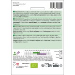 HARICOT À RAMES MANGETOUT Vigneronne - Graines BIO | Sativa | Graines et Bio