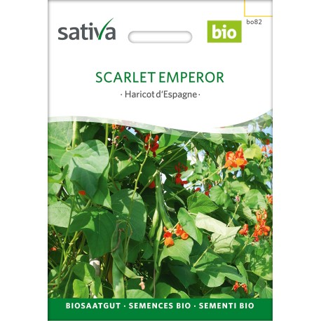 HARICOT D'ESPAGNE "Scarlet Emperor" - Graines BIO | Sativa | Graines et Bio