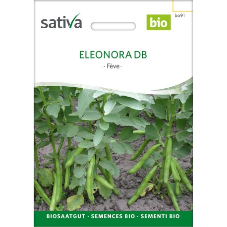 FÈVE FACILE Eleanora - Graines bio | Sativa | Graines et Bio