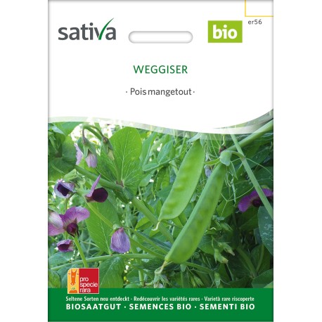 POIS MANGETOUT "Weggiser" - Graines BIO | Sativa | Graines et Bio