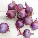 🧅 Graines d'OIGNON et POIREAU - OIGNON SAINT TURJAN - Graines BIO