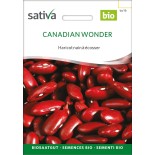 HARICOT NAIN À ÉCOSSER Canadian Wonder - Graines BIO | Sativa | Graines et Bio