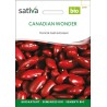 HARICOT NAIN À ÉCOSSER Canadian Wonder - Graines BIO | Sativa | Graines et Bio