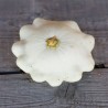 COURGE PÂTISSON Blanc - Graines BIO | Ferme de Sainte Marthe | Graines et Bio