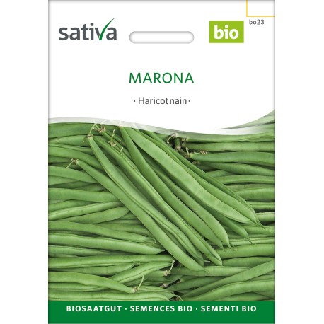HARICOT NAIN MANGETOUT PRÉCOCE Marona - Graines BIO | Sativa | Graines et Bio