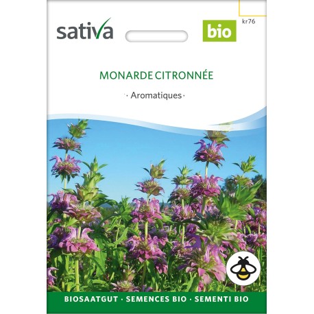 MONARDE CITRON - Graines BIO | Sativa | Graines et Bio MONARDE CITRON - Graines BIO | Sativa | Graines et Bio