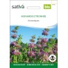 MONARDE CITRON - Graines BIO | Sativa | Graines et Bio