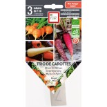 TRIO DE CAROTTES PRÉSEMÉ - Graines BIO | Ernest Turc | Graines et Bio