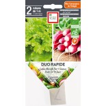 DUO LAITUE - RADIS RAPIDE PRÉSEMÉ - Graines BIO | Ernest Turc | Graines et Bio