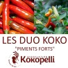 PIMENTS FORTS 2 - DUO Kokopelli - Graines BIO | KOKOPELLI | Graines et Bio