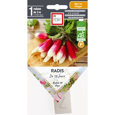 RADIS DE 18 JOURS - Graines BIO PRÉSEMÉ | Ernest Turc | Graines et Bio