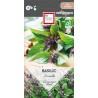 BASILIC CANNELLE - Graines BIO | Ernest Turc | Graines et Bio