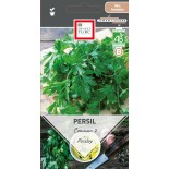 PERSIL COMMUN - Graines BIO | Ernest Turc | Graines et Bio