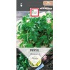 PERSIL COMMUN - Graines BIO | Ernest Turc | Graines et Bio