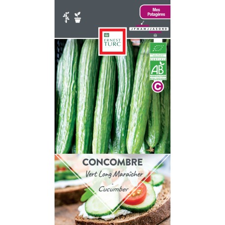 CONCOMBRE VERT LONG MARAÎCHER - Graines BIO | Ernest Turc | Graines et Bio CONCOMBRE VERT LONG MARAÎCHER - Graines BIO | Ernest Turc | Graines et Bio