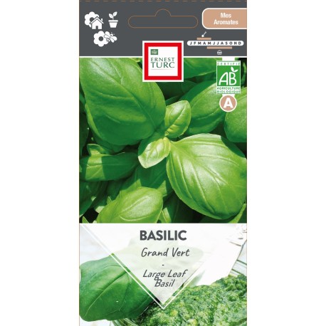 BASILIC GRAND VERT - Graines BIO | Ernest Turc | Graines et Bio BASILIC GRAND VERT - Graines BIO | Ernest Turc | Graines et Bio