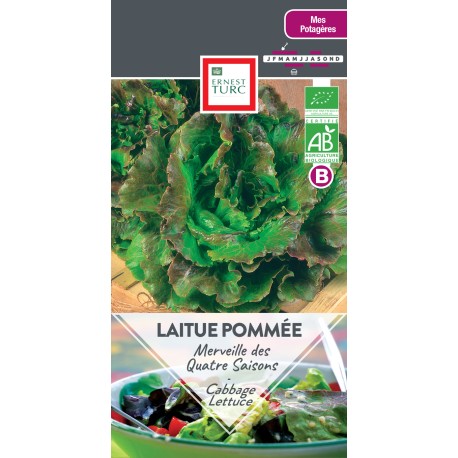LAITUE POMMÉE MERVEILLE DES 4 SAISONS - Graines BIO | Ernest Turc | Graines et Bio
