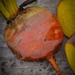 BETTERAVE BURPEES GOLDEN - Graines BIO | Ferme de Sainte Marthe | Graines et Bio