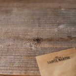 MENTHE GLACIALE ou des MONTAGNES - Graines non traitées | Ferme de Sainte Marthe | Graines et Bio