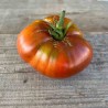 TOMATE BLACK From TULA - Graines BIO | Ferme de Sainte Marthe | Graines et Bio