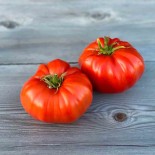TOMATE RUSSE - Graines BIO