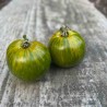 TOMATE VERTE GREEN ZEBRA - Graines BIO | Ferme de Sainte Marthe | Graines et Bio
