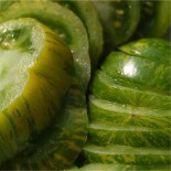 TOMATE VERTE GREEN ZEBRA - Graines BIO | Ferme de Sainte Marthe | Graines et Bio