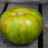 TOMATE VERTE GREEN ZEBRA - Graines BIO | Ferme de Sainte Marthe | Graines et Bio